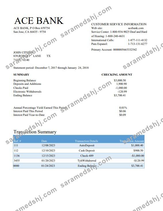 USA ACE bank statement Word and PDF template